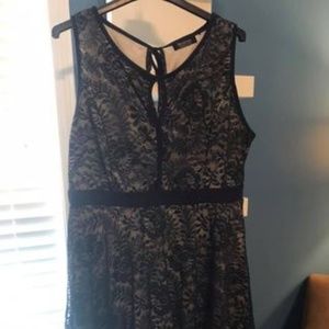 Navy blue lace cocktail dress (Size XXL)